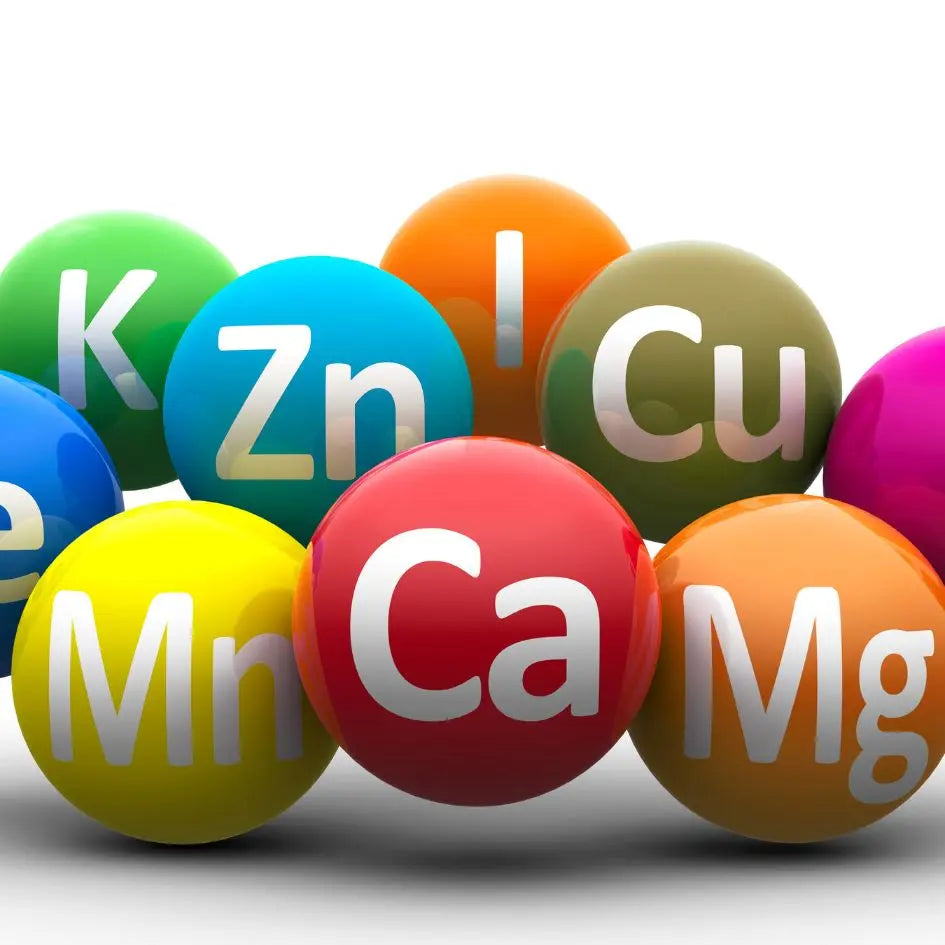 Colección de minerales en Alternativ | Suplementos naturales para energía celular, equilibrio metabólico y bienestar integral