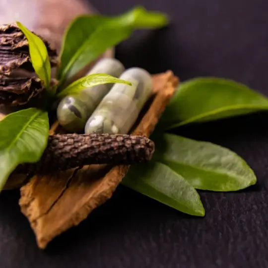 Categoría Fitoterapéuticos Alternativ: extractos naturales y plantas medicinales con registro INVIMA, elaborados por Nutrabiotics y distribuidos por Alternativ