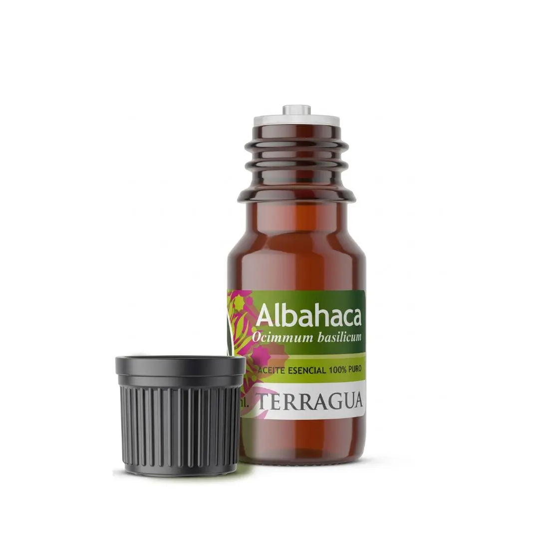 Aceite esencial de albahaca Ocimum basilicum Terragua para aromaterapia y concentración