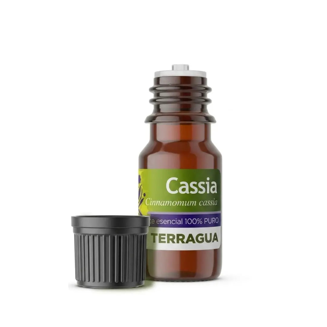 Aceite esencial de cassia Terragua aroma especiado para aromaterapia y bienestar
