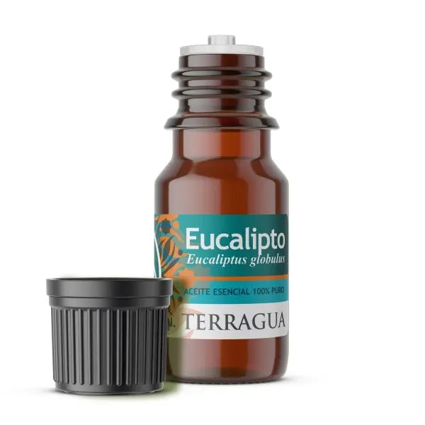 Aceite esencial de eucalipto Terragua para aromaterapia y frescura ambiental