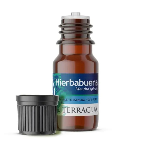 Aceite esencial de hierbabuena Terragua para aromaterapia y frescura natural
