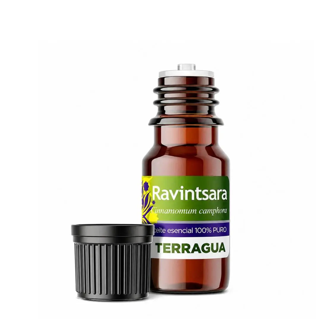 Aceite esencial de ravintsara Terragua para aromaterapia y bienestar ambiental