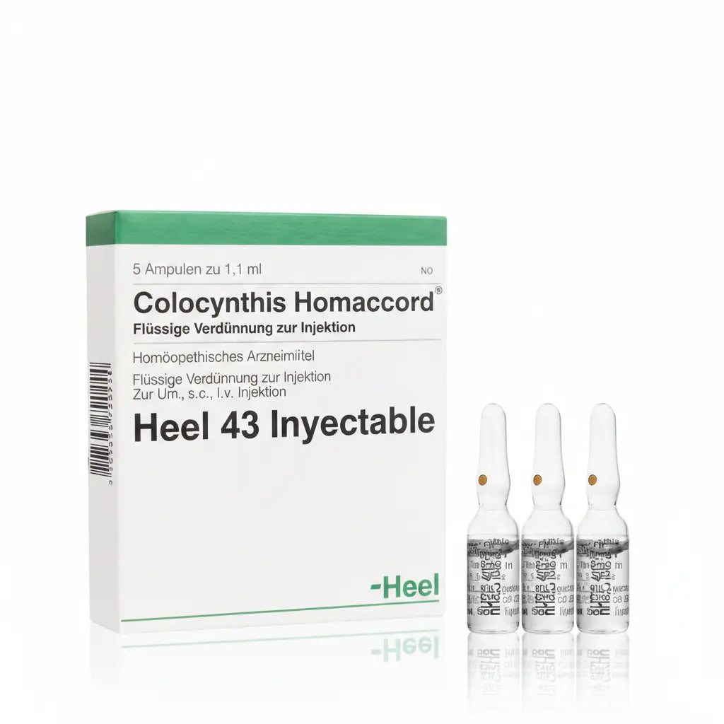 Colocynthis Homaccord Ampolla caja x 5 ampollas 1.1 mL medicamento homeopático con fórmula médica distribuido por Alternativ en Colombia
